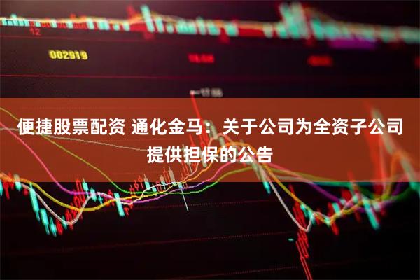 便捷股票配资 通化金马：关于公司为全资子公司提供担保的公告