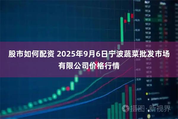 股市如何配资 2025年9月6日宁波蔬菜批发市场有限公司价格行情